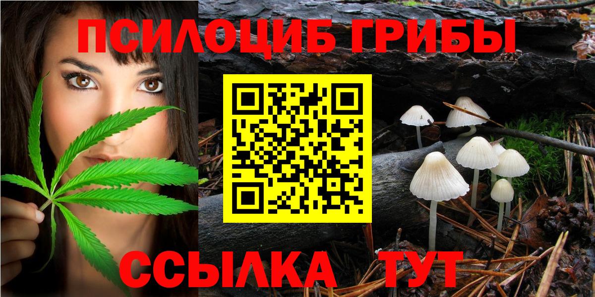 Псилоцибиновые грибы MAGIC MUSHROOMS Отрадный
